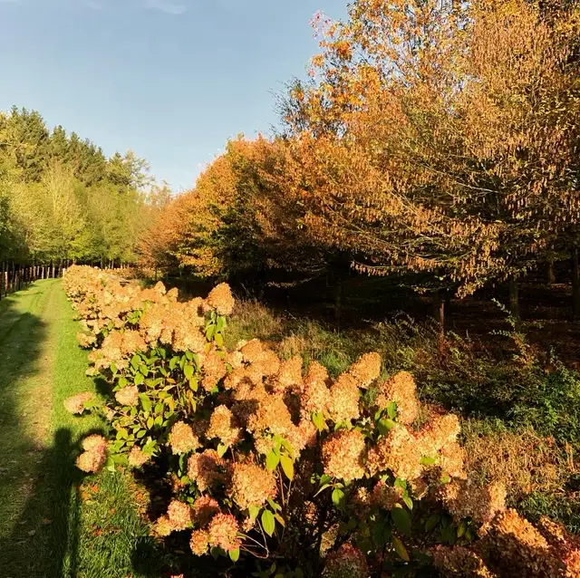 Cottage for 4 people in Walcourt Les Etangs du Francbois : Les Mélèzes
